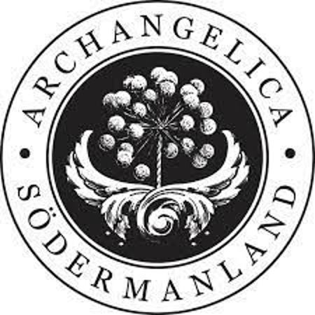 Archangelica