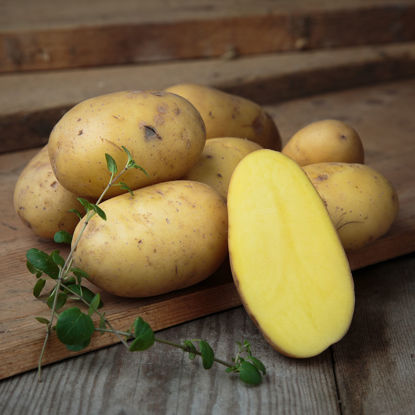 Bild på Potatis Fast Fakse 5kg