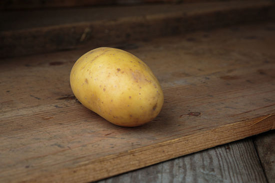 Bild på Potatis Fast Fakse 5kg